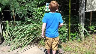 Aiden Norfolk Zoo Grandma Papa 20130830 5