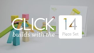 Click Builds With The Tegu 14piece Set