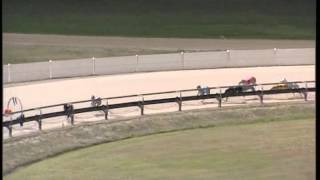 Albion-Park-17092014-Race-9