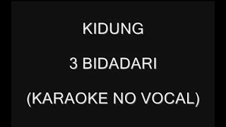 KIDUNG - 3 BIDADARI (KARAOKE NO VOCAL)