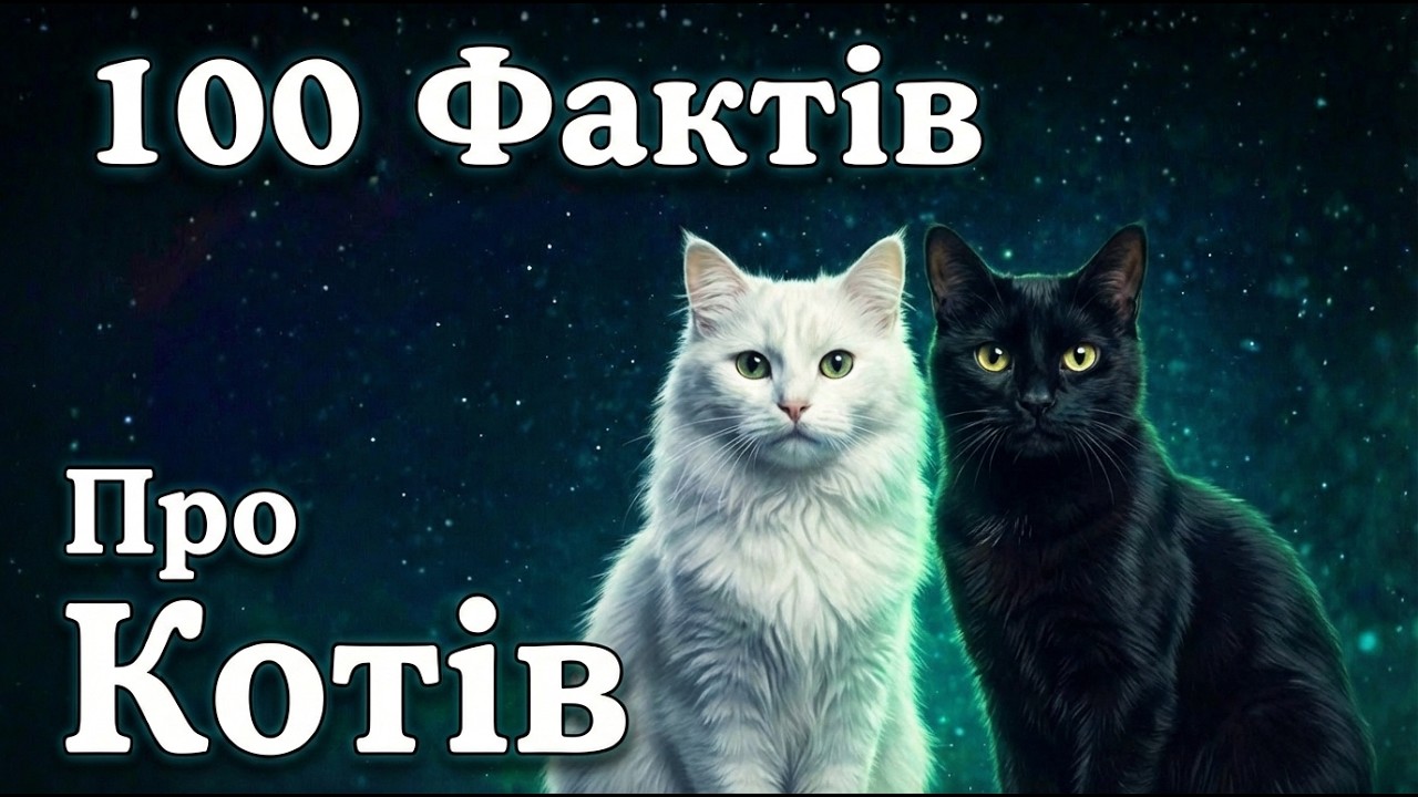 100 Неймовірних Фактів Про Котів 💤 Лекція Для Сну