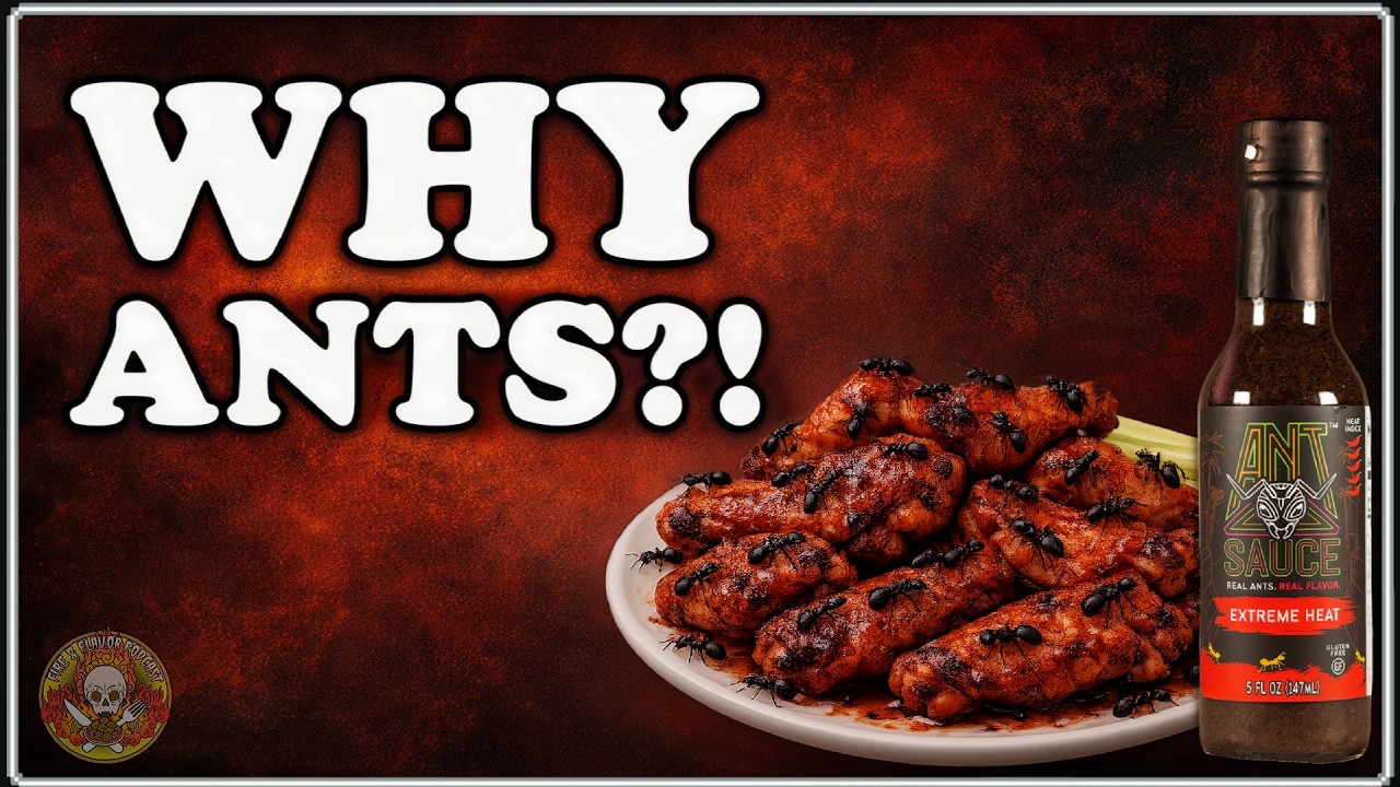 Why Put ANTS In Hot Sauce? | Ant Sauce Interview
