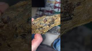 Another Garnet Staurolite Mica Schist