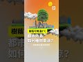 樹蔭下體感降溫8°C 都市熱島如何種樹乘涼？｜公視P# 新聞實驗室