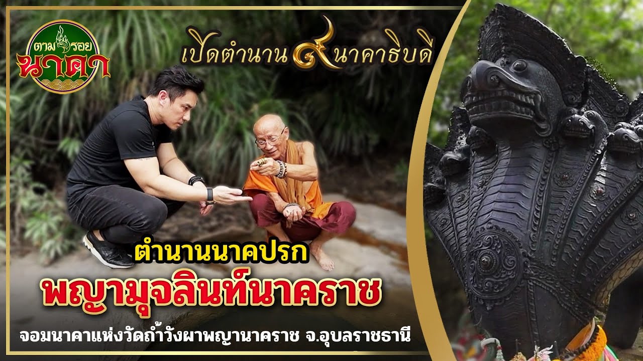 ตามรอยนาคา(ນາກ) Ep.4 พญามุจลินทร์นาคราช ตำนานนาคปรก แห่งวัดถ้ำวังผาพญานาคราช จ.อุบลราชธานี