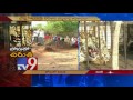 Stray leopard in forest officials' trap in Medak