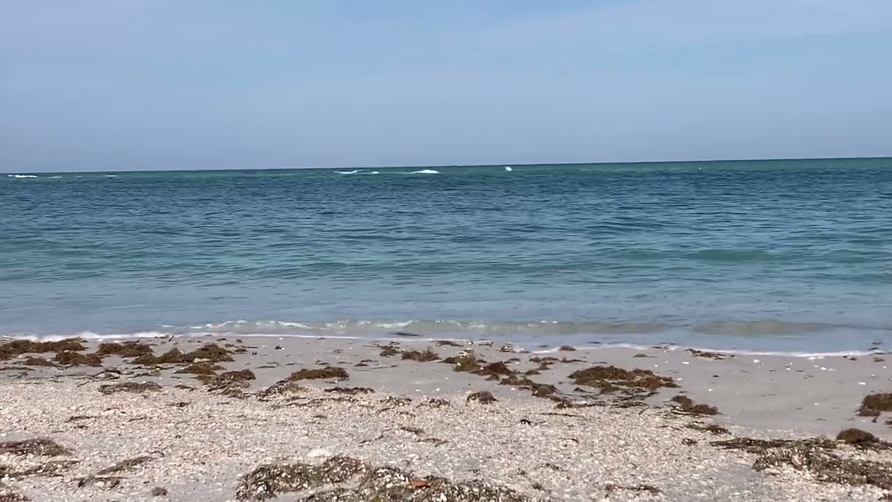 Peaceful Pause: Move Your Tush!