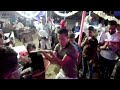 فرحة جمبروزة فرحة ابوقير