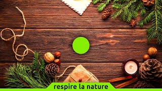 Cohérence cardiaque exercice n°76 | Noël | 5 min screenshot 4