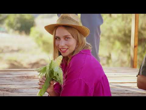 The Playkots The Bad Touch Bloodhound Gang Cover 