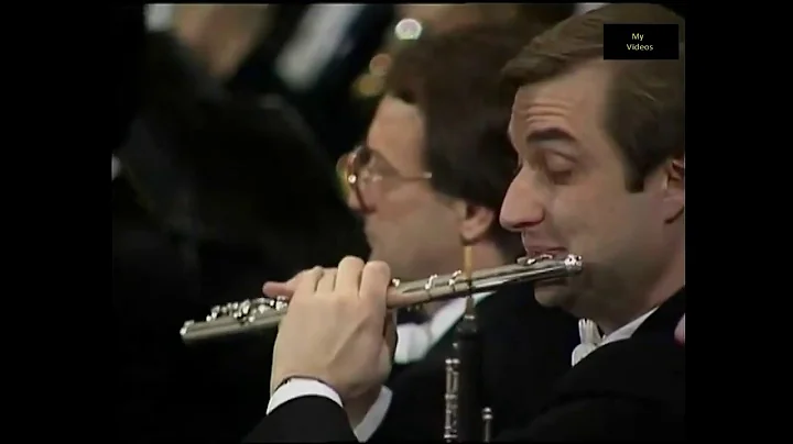 Beethoven Symphony No 9 in D minor An die Freude O...