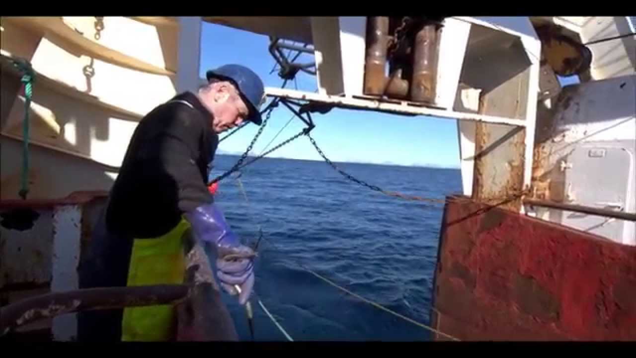 Calanus Oil - Kortreist kosttilskudd