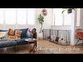 #28【模様替え】やんちゃなペットがいても諦めないインテリア | お部屋に馴染む犬部屋づくり🐶 | 掃き出し窓を腰窓風に！