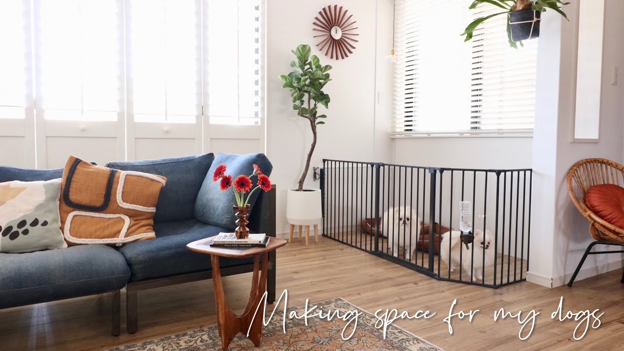 #28【模様替え】やんちゃなペットがいても諦めないインテリア | お部屋に馴染む犬部屋づくり🐶 | 掃き出し窓を腰窓風に！