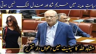 Riyasat-e-Madina mein Hareem Shah aur Sundal Khattak nai hoti | Mushahid Ullah Khan speech in Senate