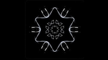 white flowers effect 3d animation black background