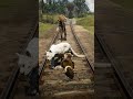Train Hits Man Carrying Dead Deer While Mountain Lion Attacks!  #RDR2 #shorts