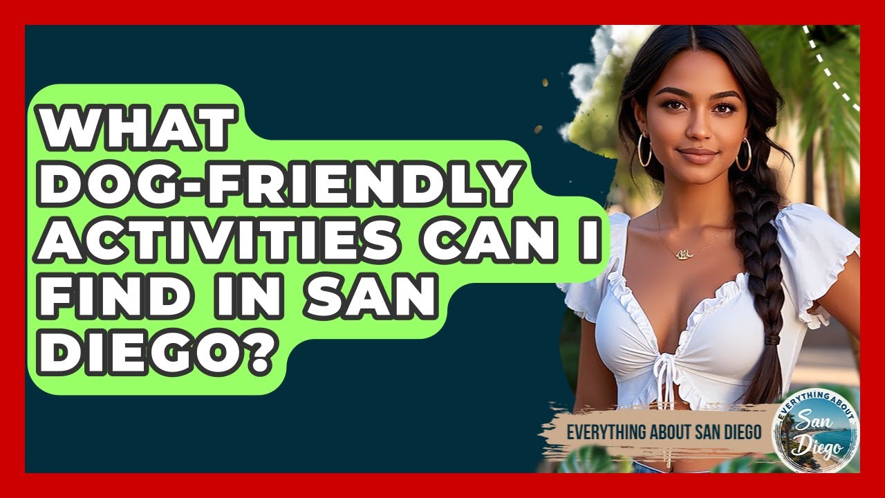 What Dog-Friendly Activities Can I Find in San Diego? - Everything About San Diego