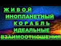 ✔ *АрхиСРОЧНО* «Живой Инопланетный корабль и Безусловные взаимоотношения !»