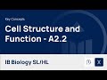 Cell Structure and Organelle Functions in Prokaryotic and Eukaryotic Cells