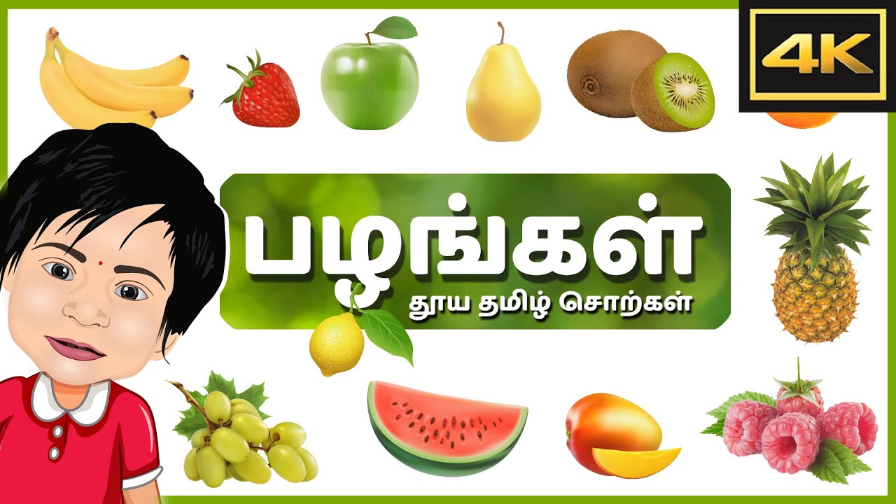 பழங்கள் கற்போம் | LEARN TAMIL FRUITS NAME | 4K | VENPA TV ... பழங்கள் கற்போம் | LEARN TAMIL FRUITS NAME | 4K | VENPA TV ...