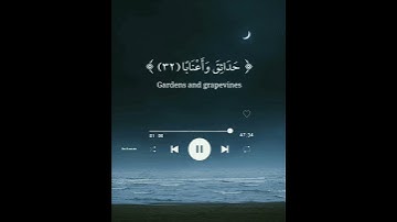 ترتيل للقارئ عبد الرحمن مسعد ﴿ سورة النبأ ﴾