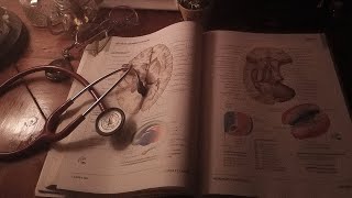 a playlist to romanticize studying medicine by nobody 541,438 views 3 months ago 57 minutes