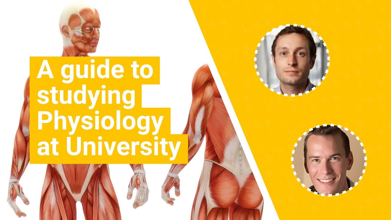 'A guide to' video thumbnail