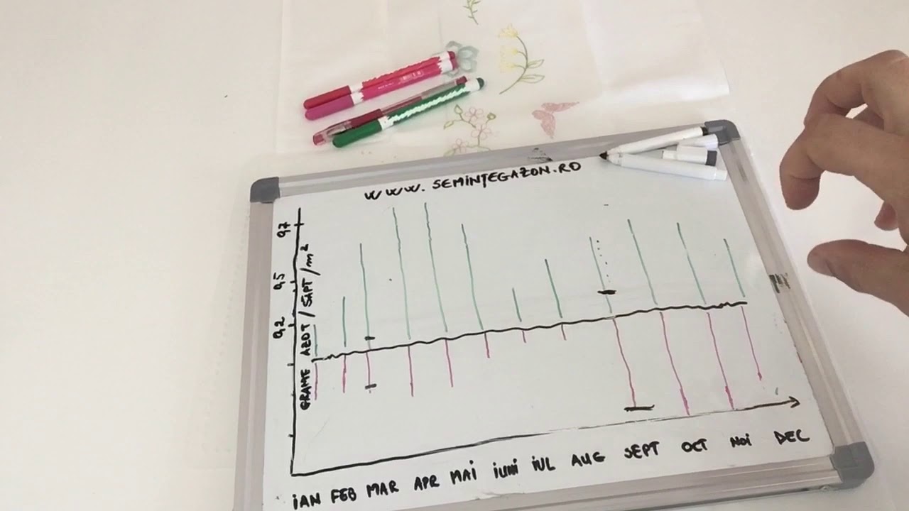Gazonul - Radacina gazonului, fertilizarea corecta a gazonului - www.semintegazon.ro