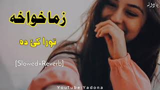 Zama Khwakha Torakay Da Pashto Song Slowed Reverb