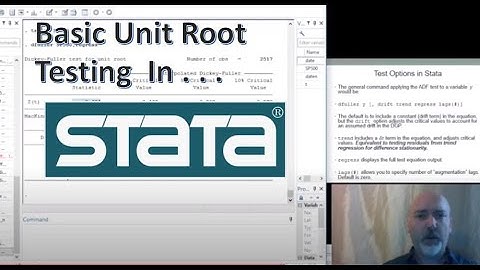 Stata Tutorial: Basic Unit Root Test
