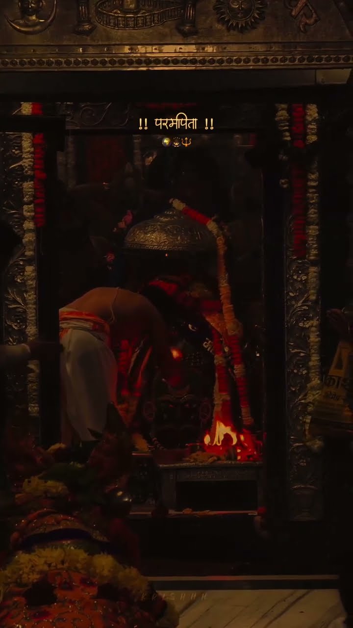 ☘️हर हर महादेव🙏🏼 - ShareChat