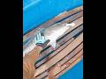 Mancing popping Strike Greenjob Fish. dengan Rod Popping Black Jack GT PE 6