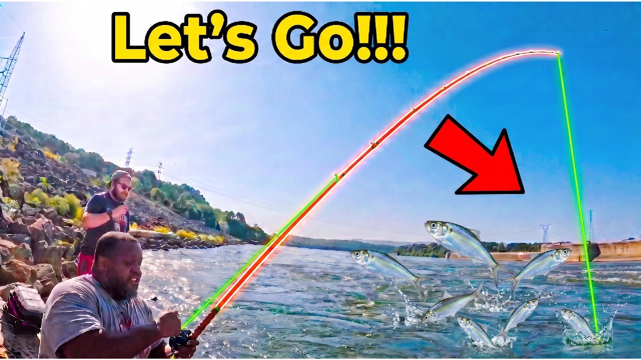 Use THIS Natural Bait at ANY Dam… BIG Fish Can’t Resist It! 🔥