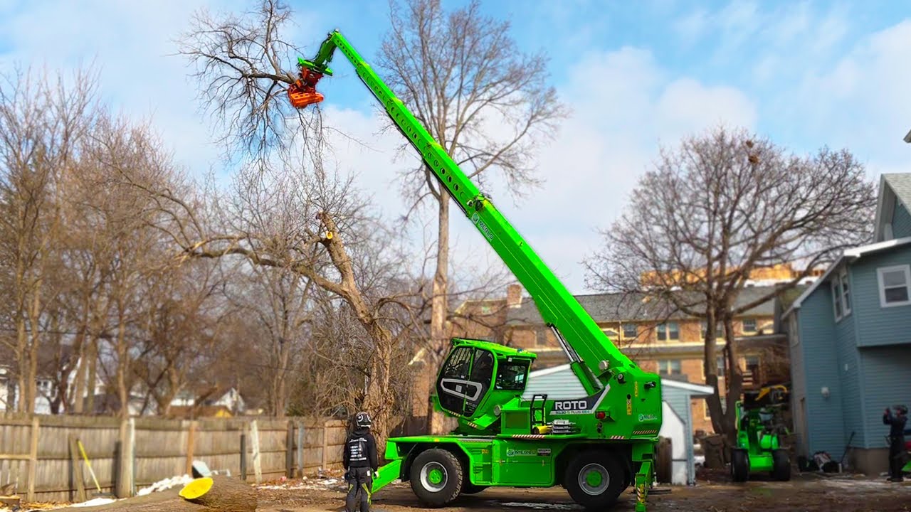 Возвращение к работе после сильных морозов! Удаление деревьев + грандиозное путешествие на сноубо...
