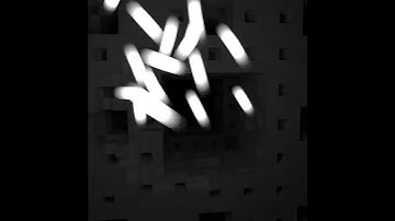 Flock in Sierpinski Cube