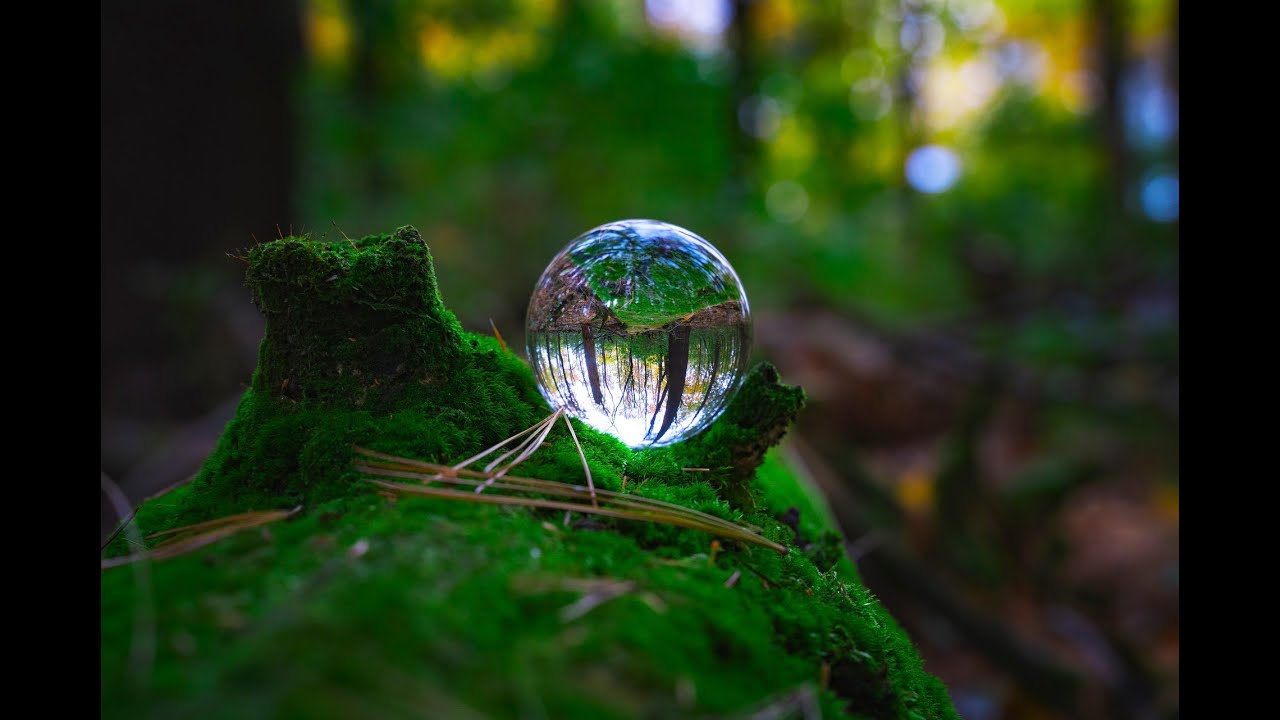 The History of Eco Spirituality