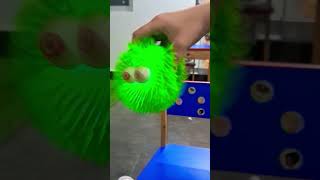 Miren Un Pelon Baylando