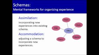 Exploring Psych Ch 4 Schema