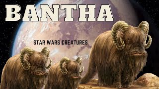 Bantha | Star Wars creatures