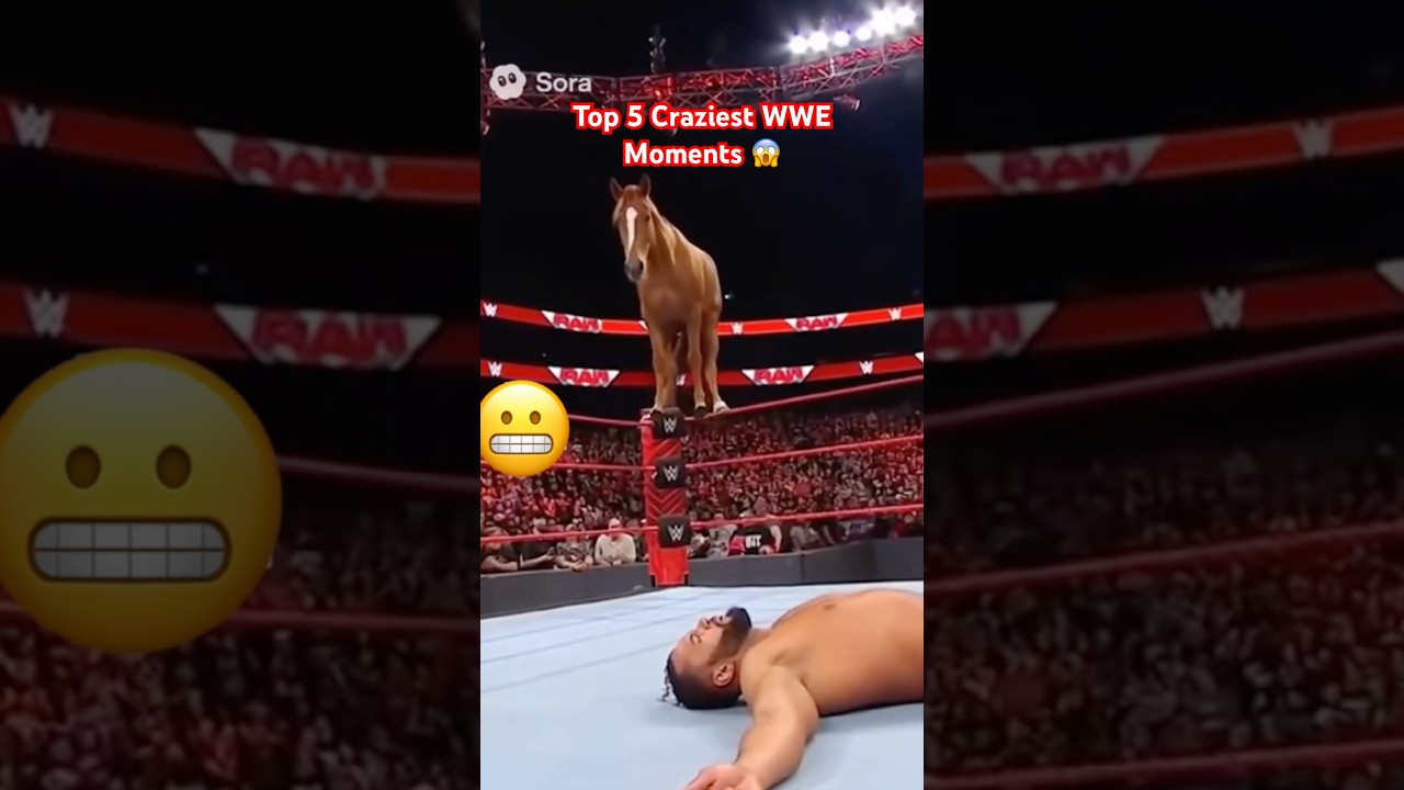 TOP 5 CRAZIEST WWE MOMENTS 😱 