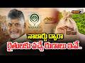 నాబార్డు ద్వారా  రైతులకు వచ్చే రుణాలు ఇవే..| NABARD loans | Mega9tv