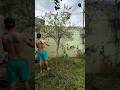 Podando as árvores frutíferas da nossa casa antiga #casadevó #reformadecasa #obra #reforma #vintage