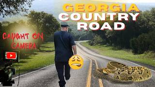 Huge Deadly Rattlesnake Caught On Camera Georgia Reality Check