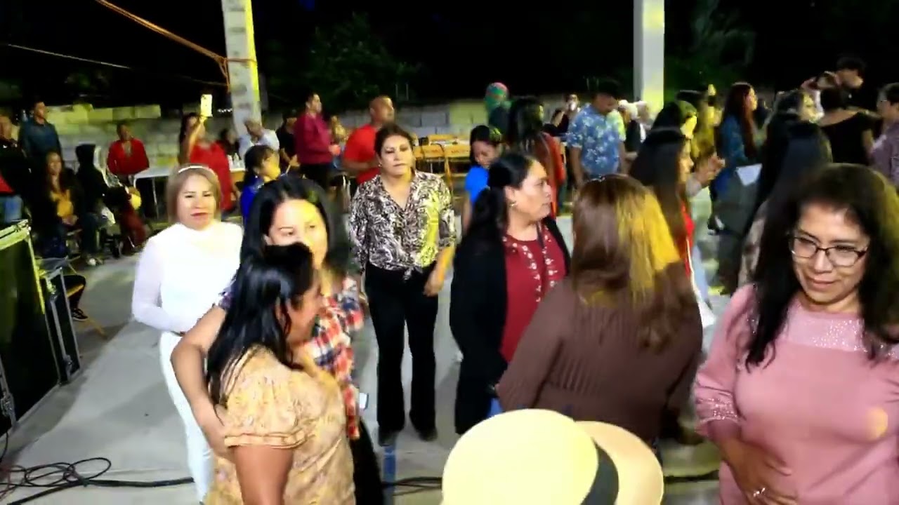 Grupo Arlekin en Santiago Patlanalá Gran Carnavalito 21 De Julio Del 2024