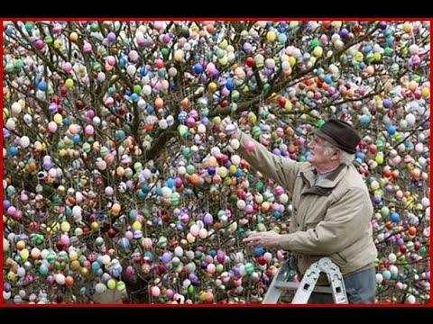 Video: Land Art od Gambastyle - poetická vize přírody