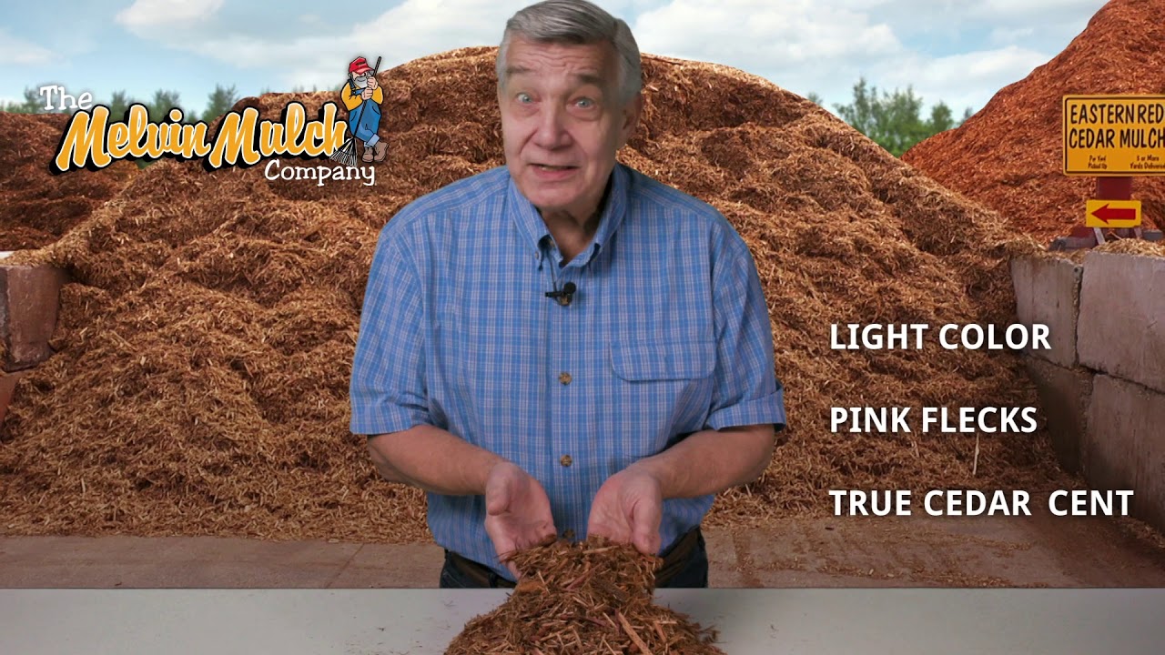 Melvin Mulch Eastern Red Cedar