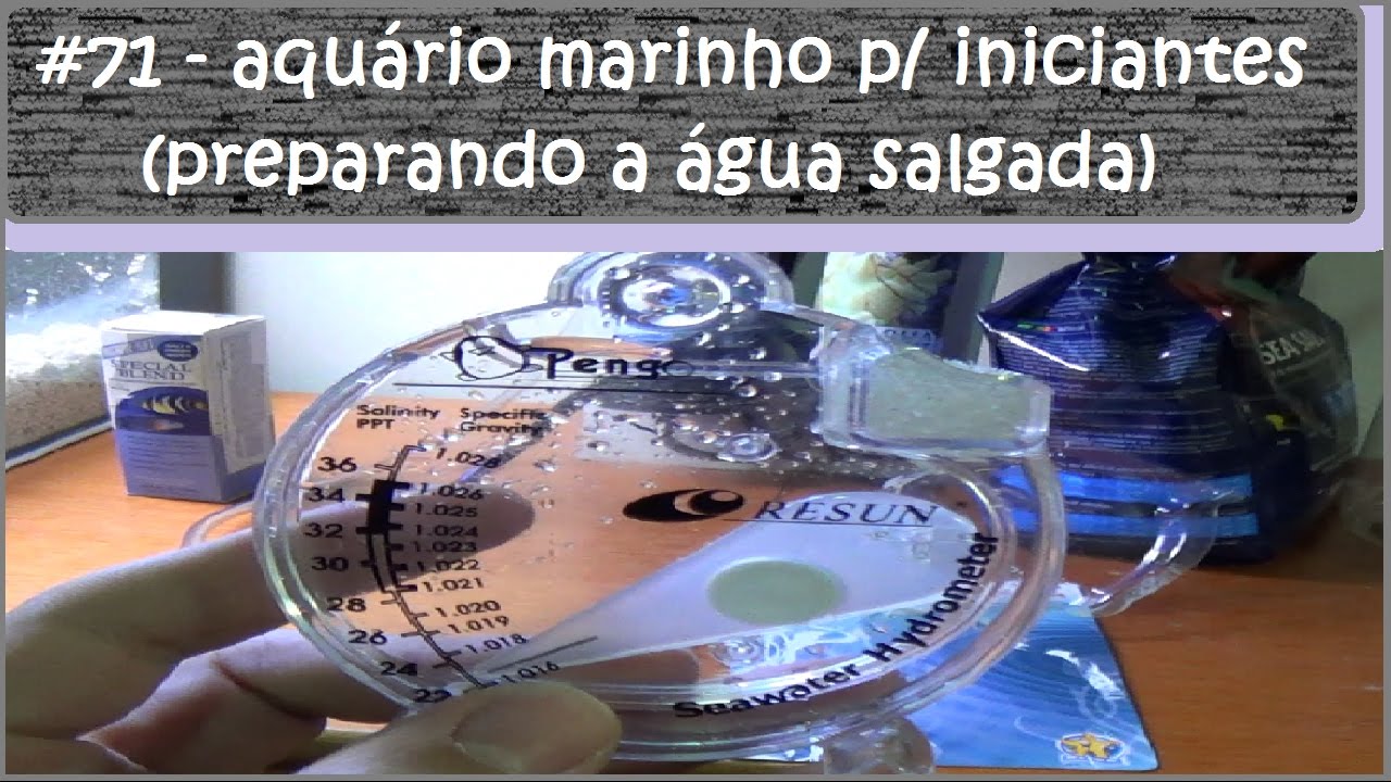 Aquário Marinho Para Iniciantes (Preparando a Água Salgada)
