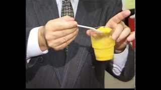 How Live Enzymes Work Inside Your Stomach