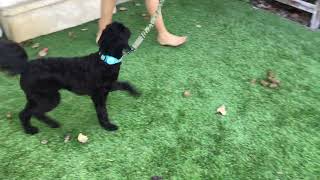 Out door time with tux